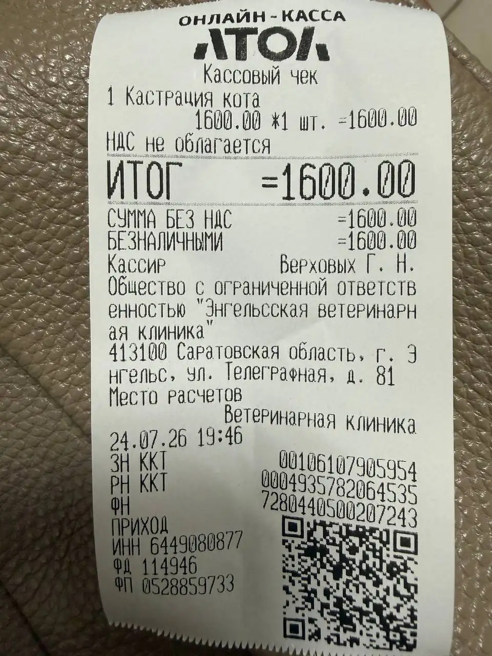 Сбор для кота Мити на передержку, стерилизацию и обработку - Кошки и собаки в Саратов