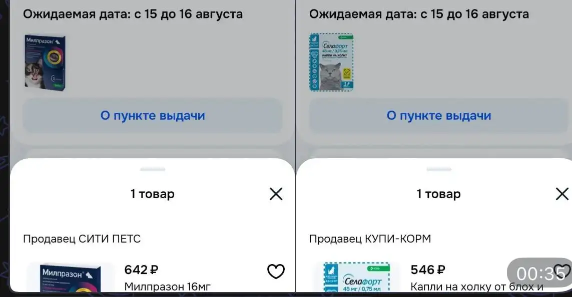 Сбор для кота Мити на передержку, стерилизацию и обработку - Животные в Саратов