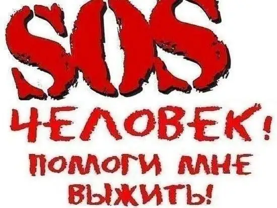 Срочно! Нужна помощь котосемье в Калининске - Животные в Калининск