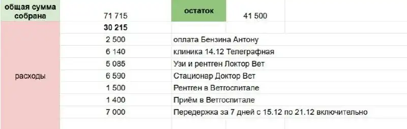 Сбор на лечение собаки Рыжика в Саратове