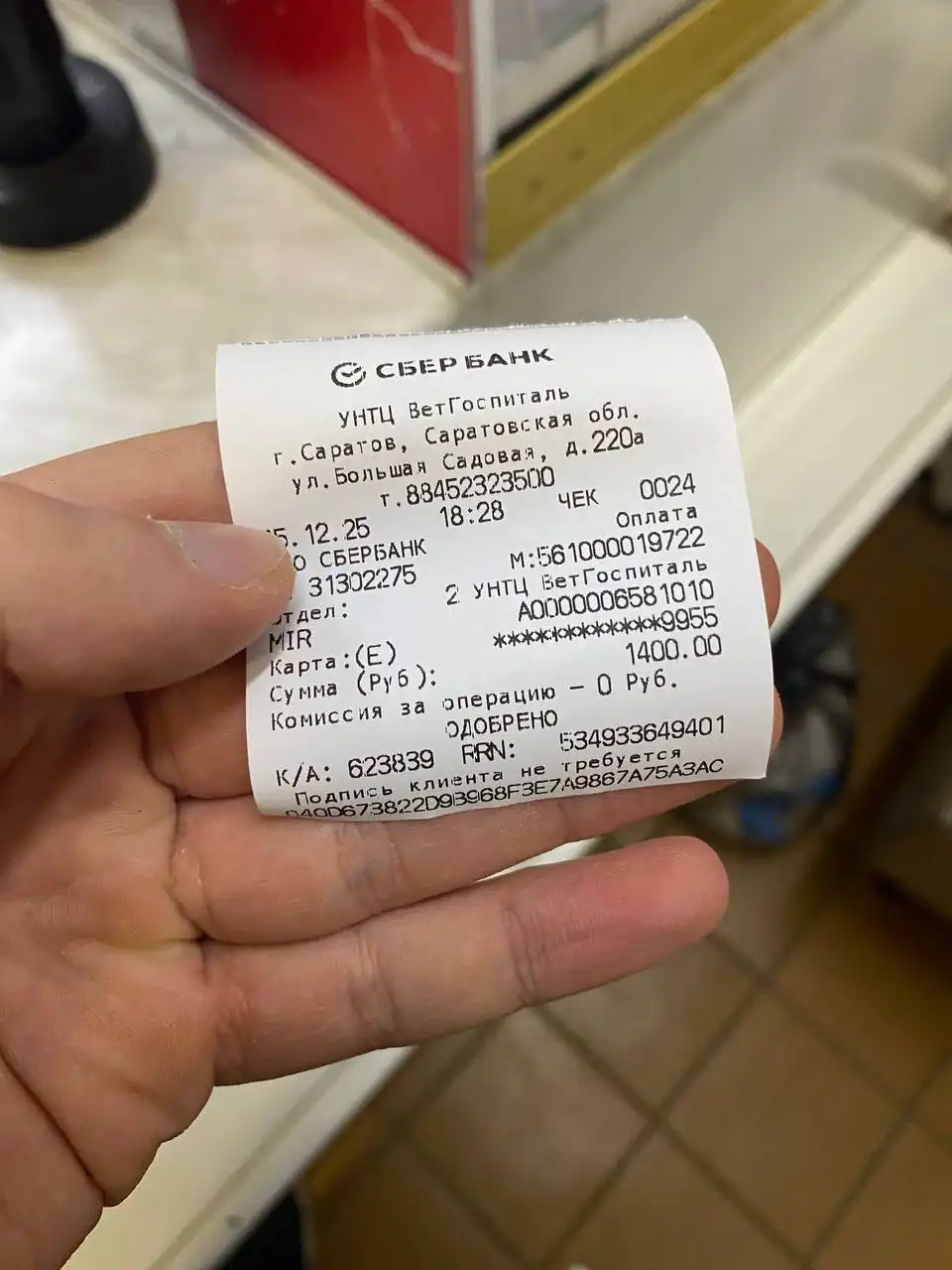 Сбор на лечение собаки Рыжика в Саратове