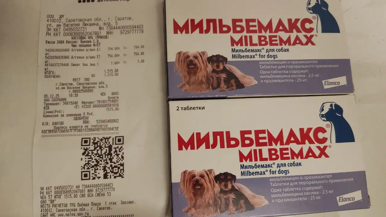 Сбор средств на помощь щенкам в Саратове - Животные в Саратов