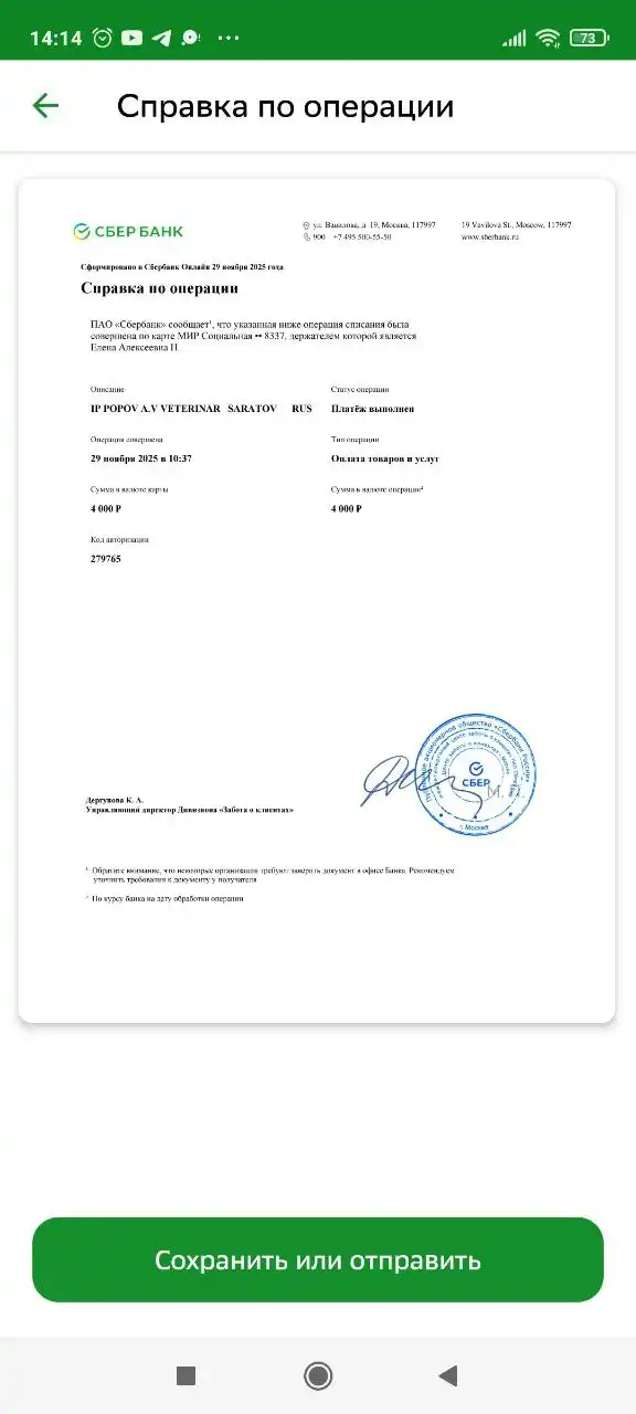 Сбор средств на помощь щенкам в Саратове