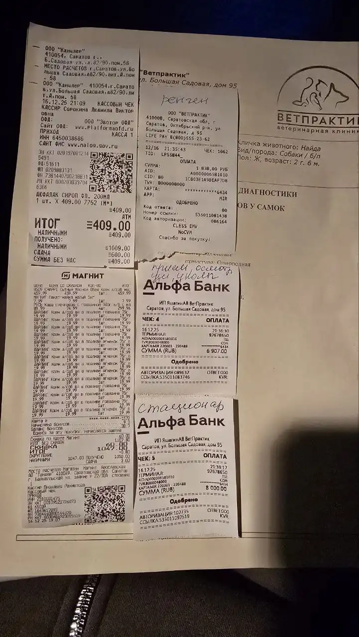 Отчёт по сбору средств для животных