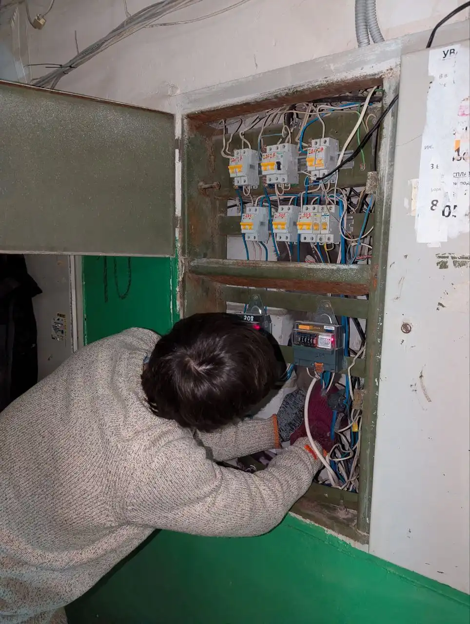 Сбор благотворительности для спасателя кота