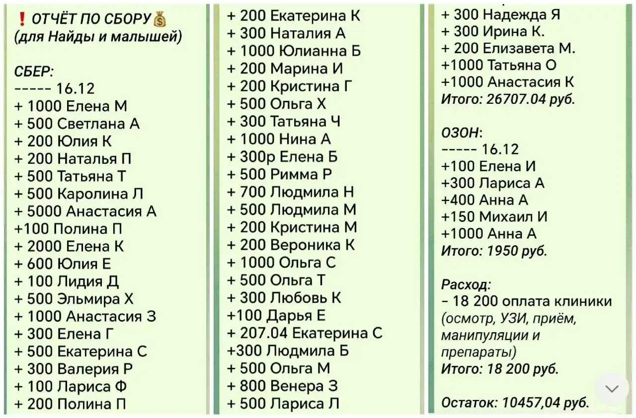 Отчёт по сбору средств для животных