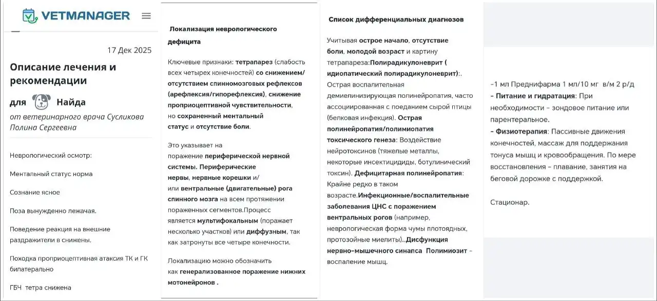 Отчёт по сбору средств для животных