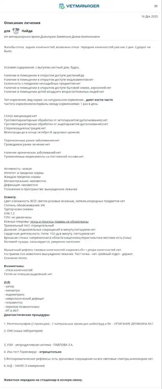 Отчёт по сбору средств для животных