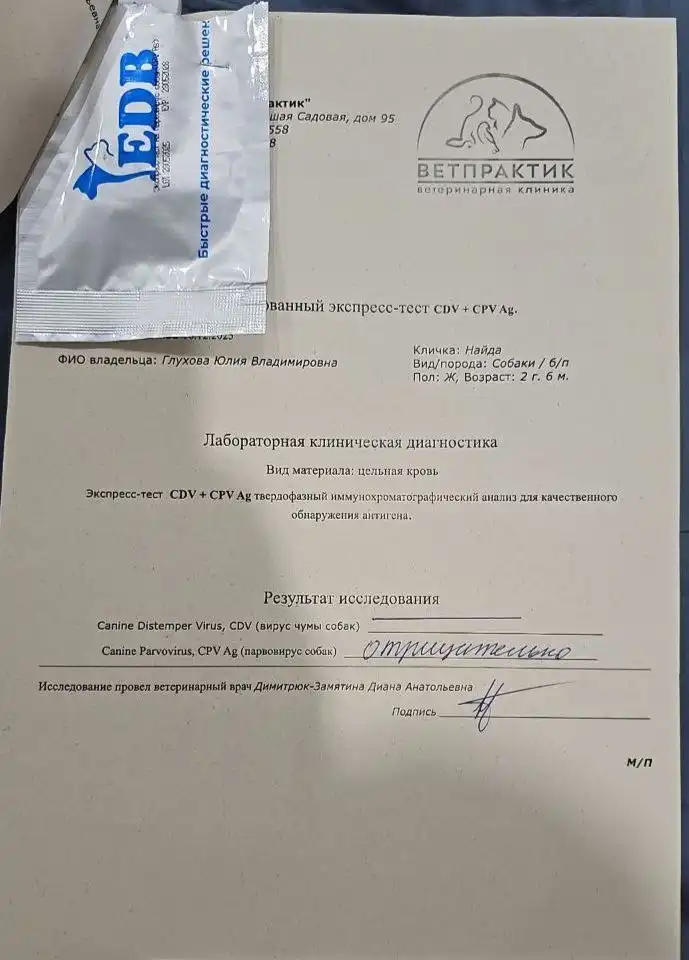 Отчёт по сбору средств для животных