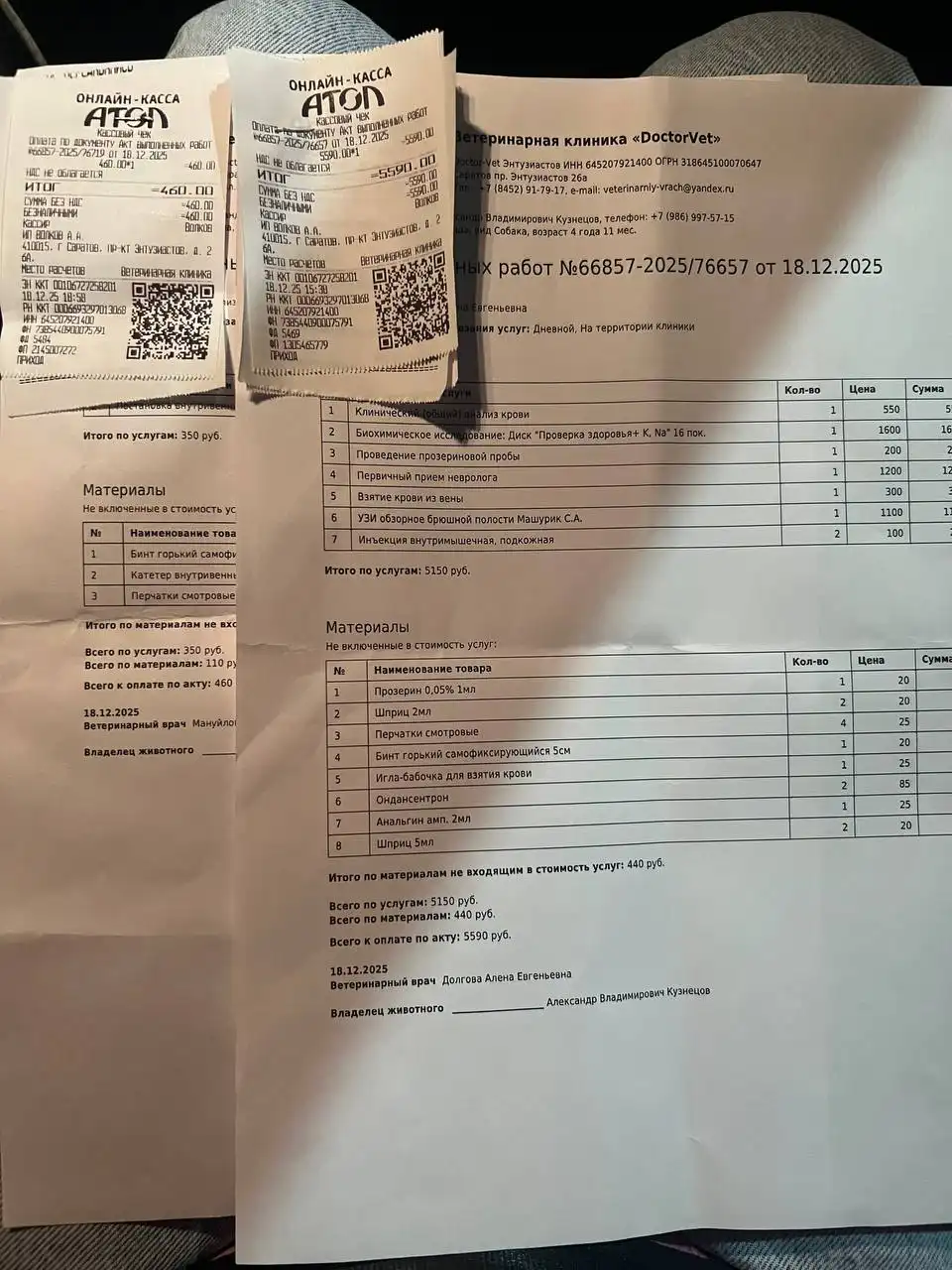 Экстренный сбор на лечение собаки Тиши в Саратове