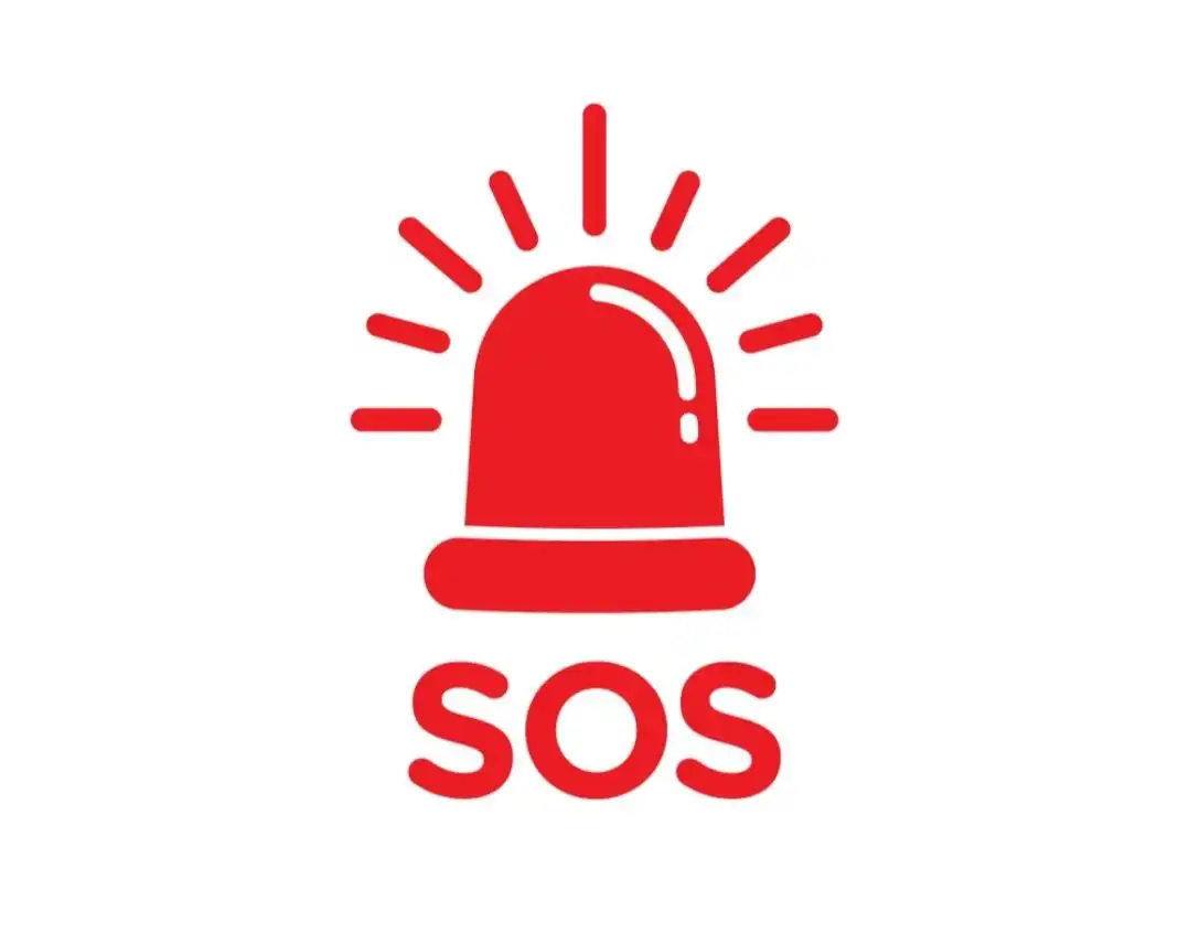 Сбор средств на лечение и передержку животных в Саратове - Животные в Саратов