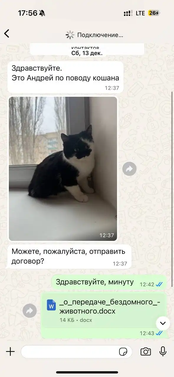 Потеряшки животных в Саратове