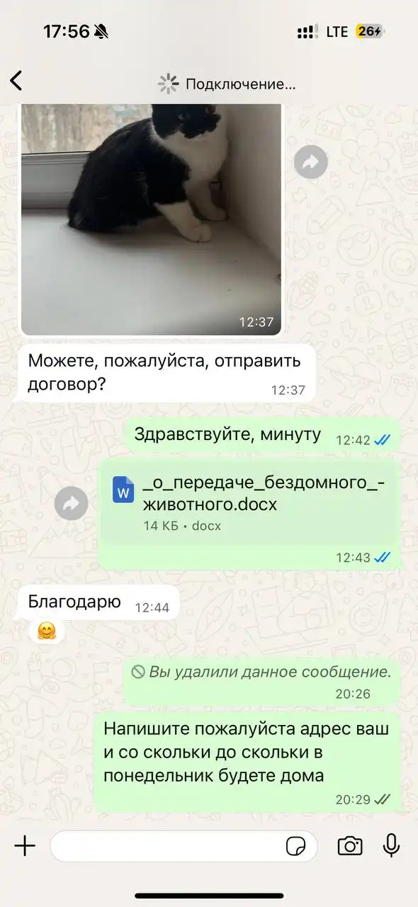 Потеряшки животных в Саратове