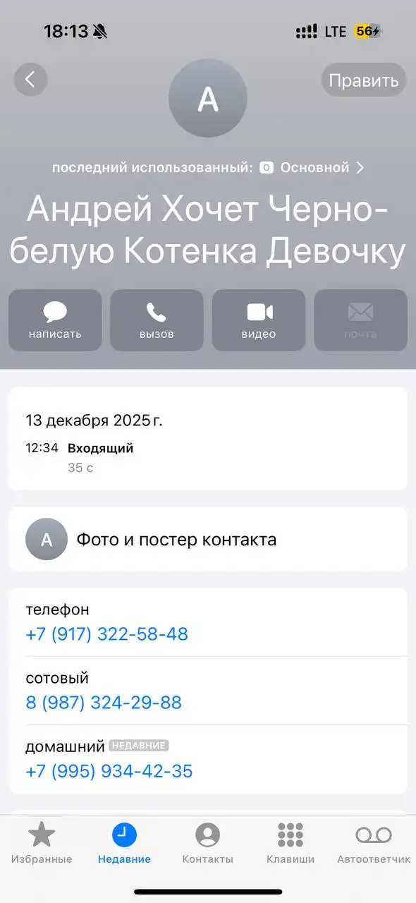 Объявление о потерянных животных в Саратове