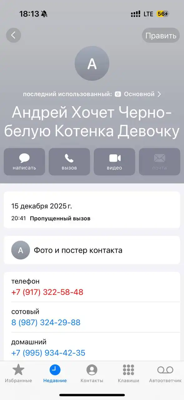 Объявление о потерянных животных в Саратове