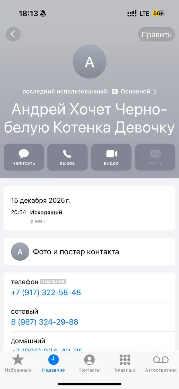 Объявление о потерянных животных в Саратове