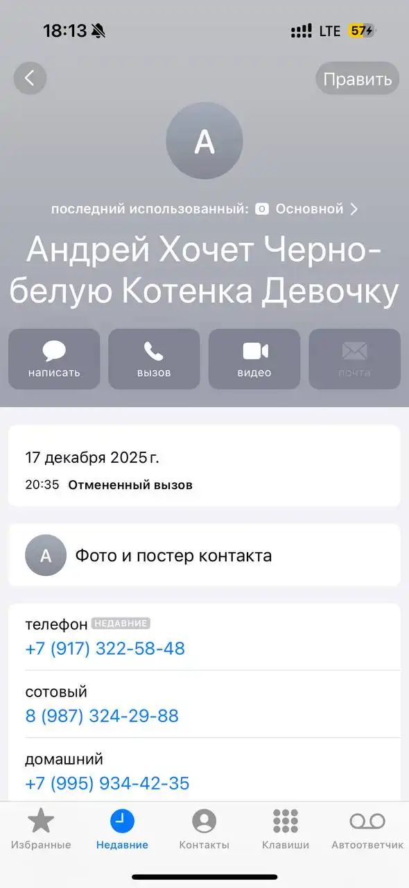 Объявление о потерянных животных в Саратове