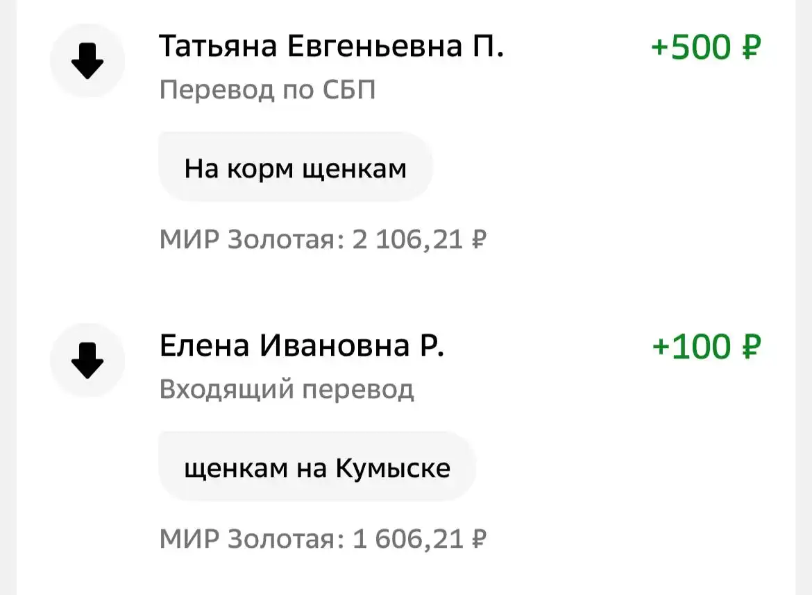 Сбор на корм для щенков с Кумысной поляны