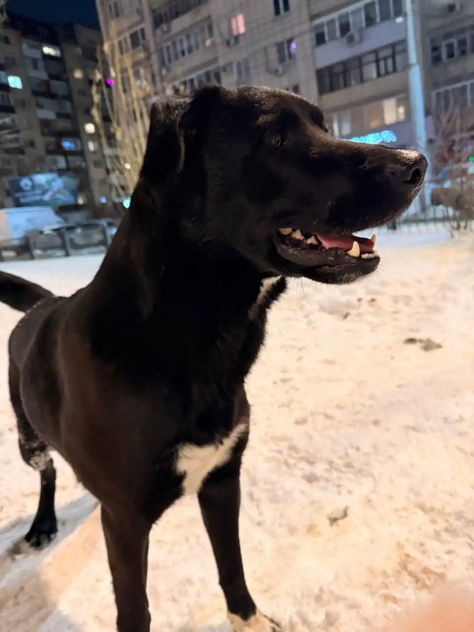 Нашелся домашний кабель, знает команды