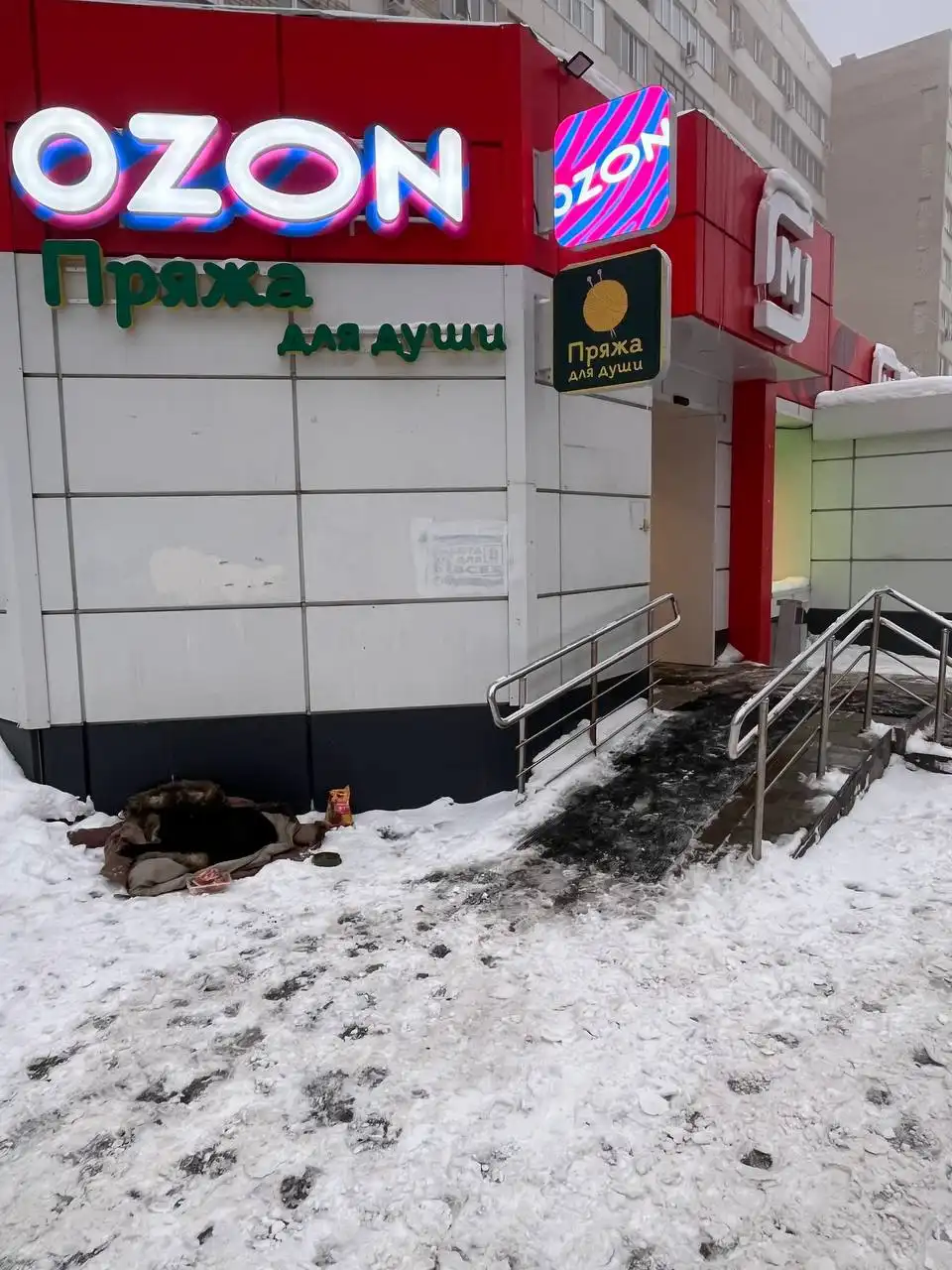 Просят помощи для собаки в Саратове