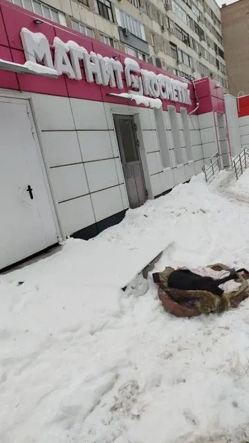 Найден пес в Саратове - Животные в Саратов