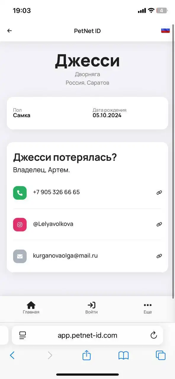 Потерянная собака в центре Саратова
