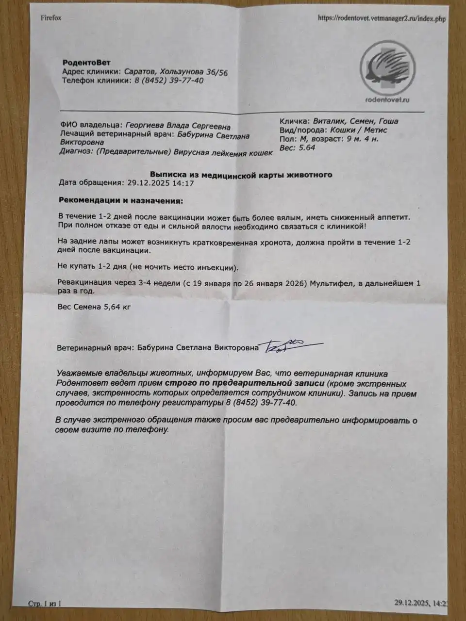 Сбор на вакцинацию котика Семена с лейкозом - Ветеринария (Животные) в Саратов