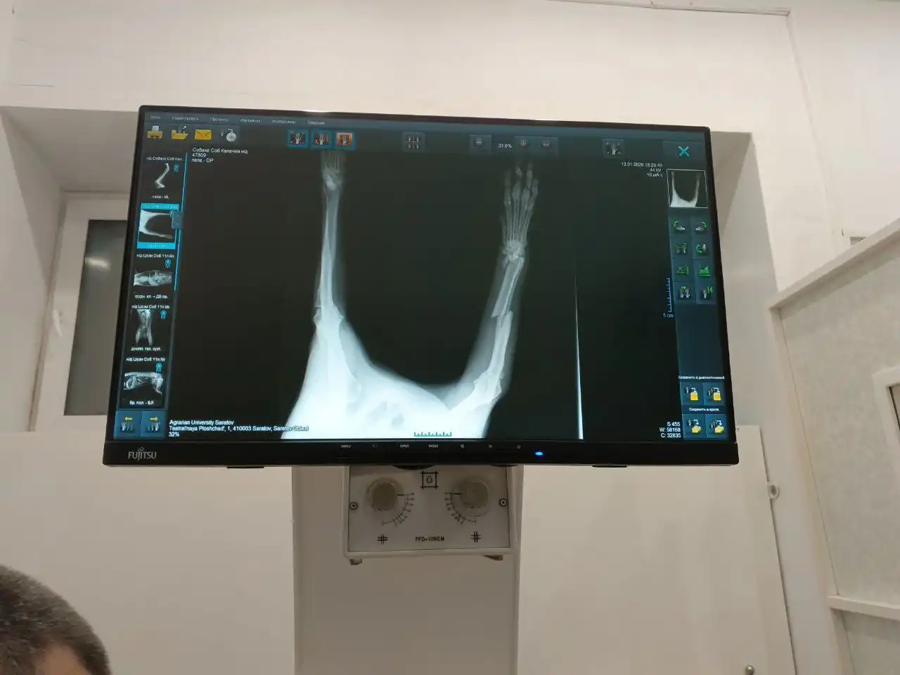 Сбор средств на погашение долга за операцию собаки - Животные в Саратов