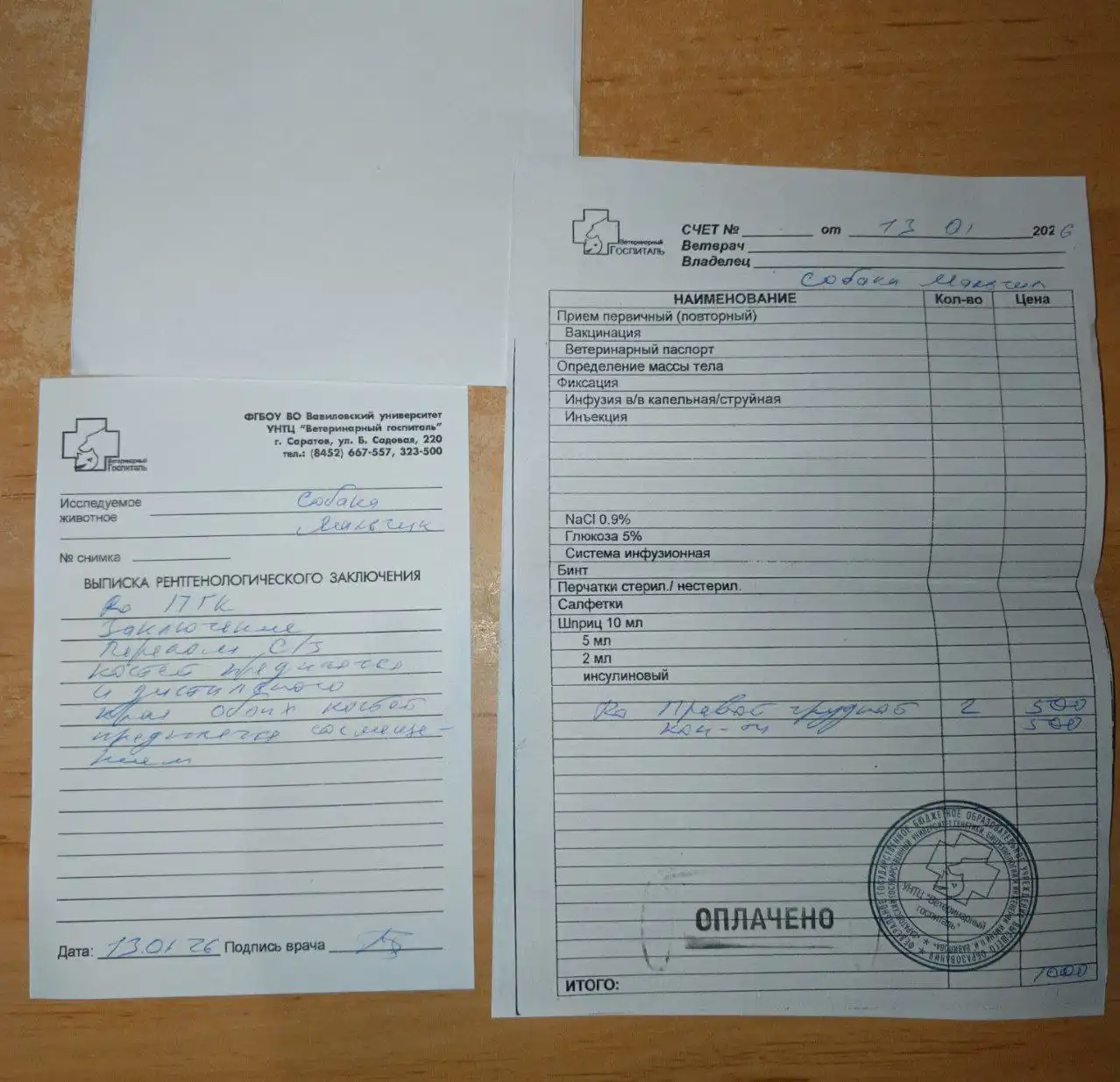 Сбор средств на погашение долга за операцию собаки - Животные в Саратов