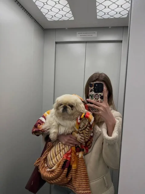 Питомец найден новый дом в Саратове - Передержка в Саратов