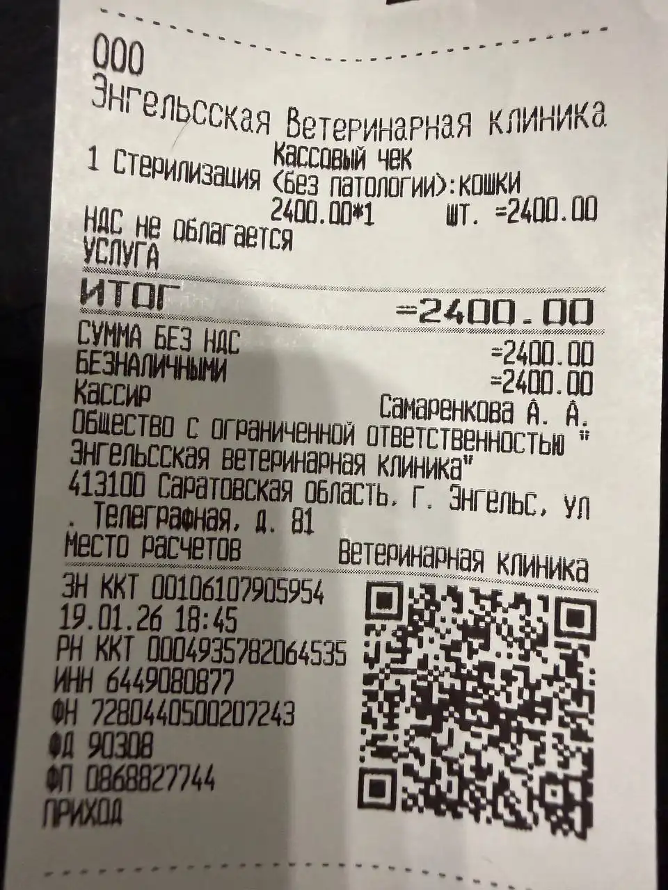 Сбор средств на стерилизацию и передержку кошки Бони - Кошки (Животные) в Саратов