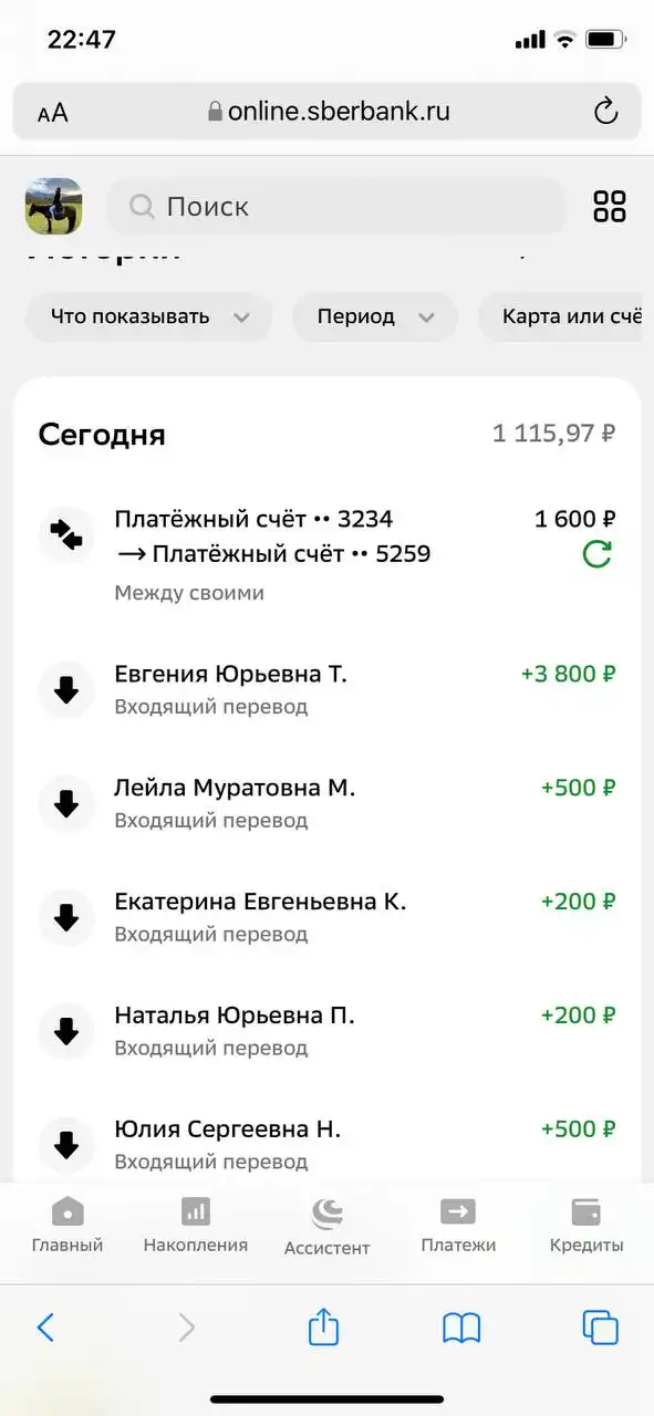 Потеряшки в Саратове: передержка для животных - Передержка (Животные) в Саратов