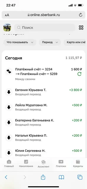 Потеряшки в Саратове: передержка для животных - частное объявление в Саратов
