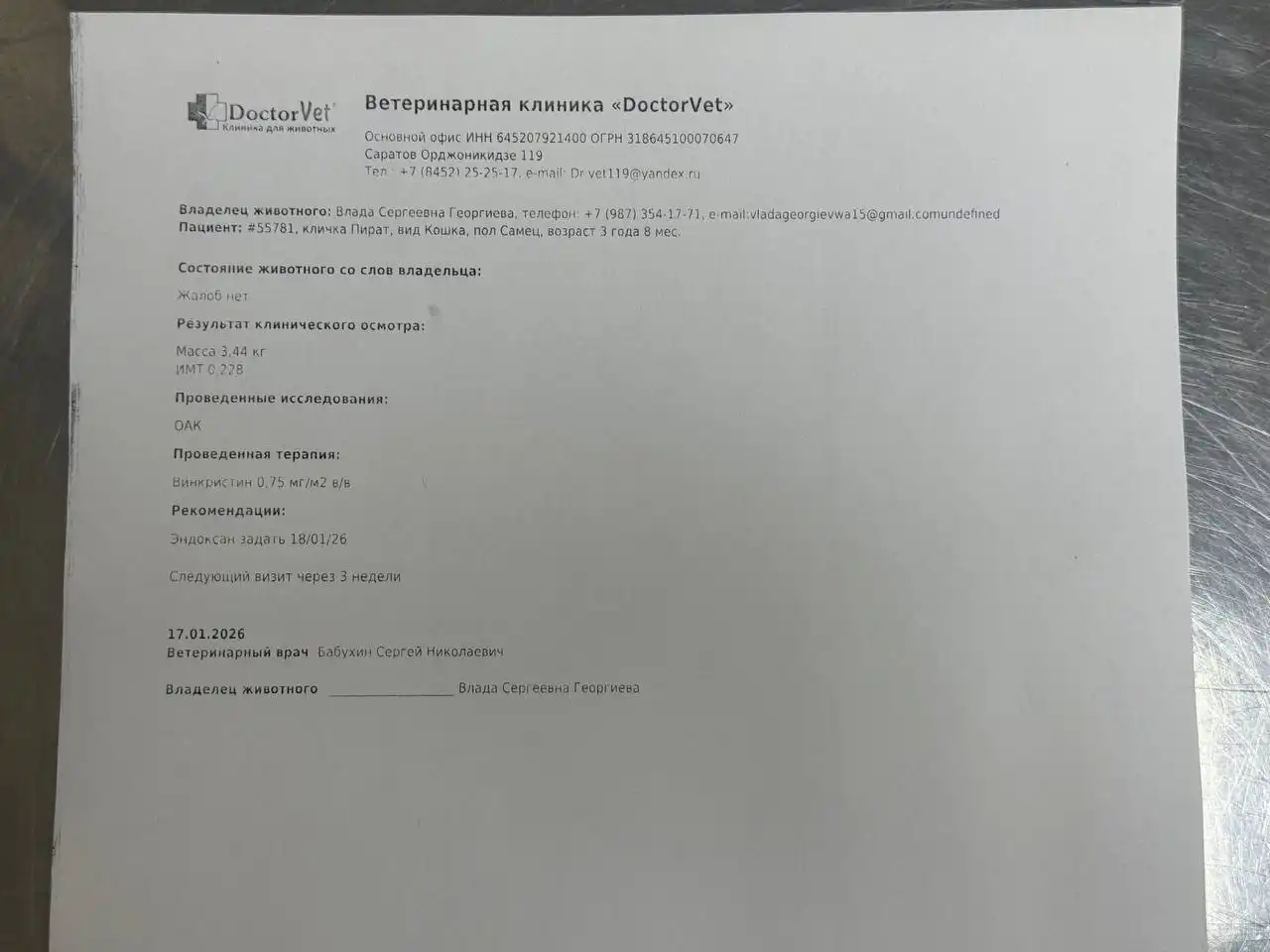 Сбор на лечение кота Пирата от лимфомы - частное объявление в Саратов