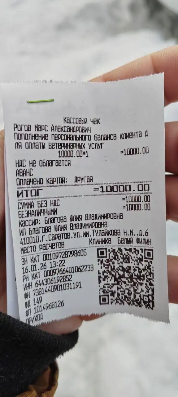 Благотворительный сбор на лечение Ричика - Благотворительность (Животные) в Саратов