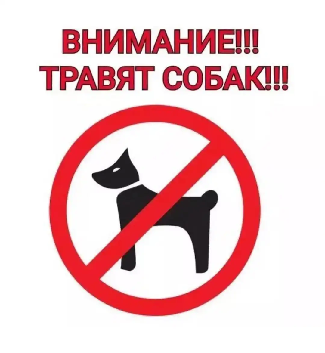 Сообщение о жестоком обращении с животными в Саратове - Животные в Саратов