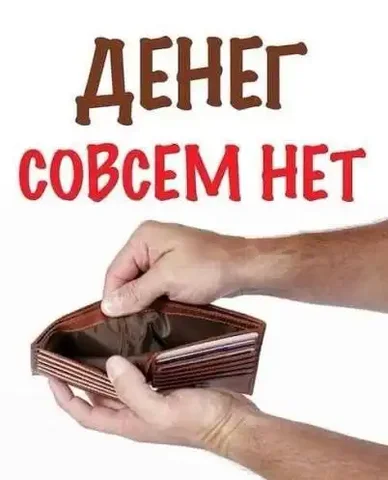 Потерянные кошки и собаки в Саратове - Поиск животных в Саратов