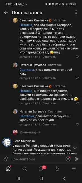 Потерянные животные в Вольске - Кошки в Вольск