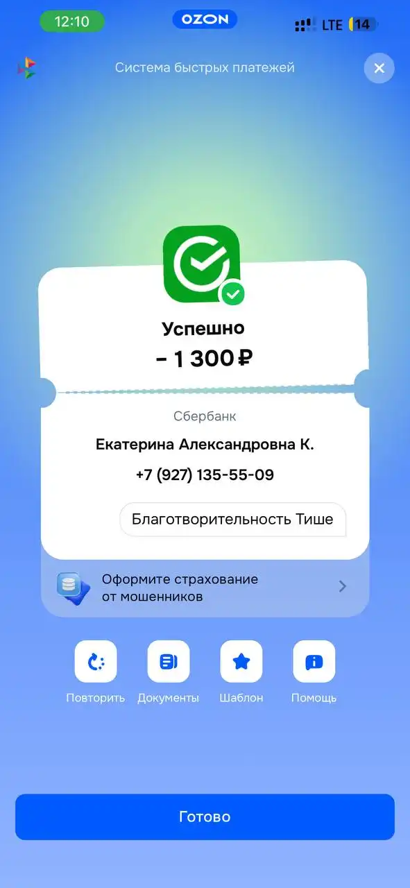 Срочный сбор на передержку и корм для кошки Тиши - Передержка животных (Животные) в Саратов