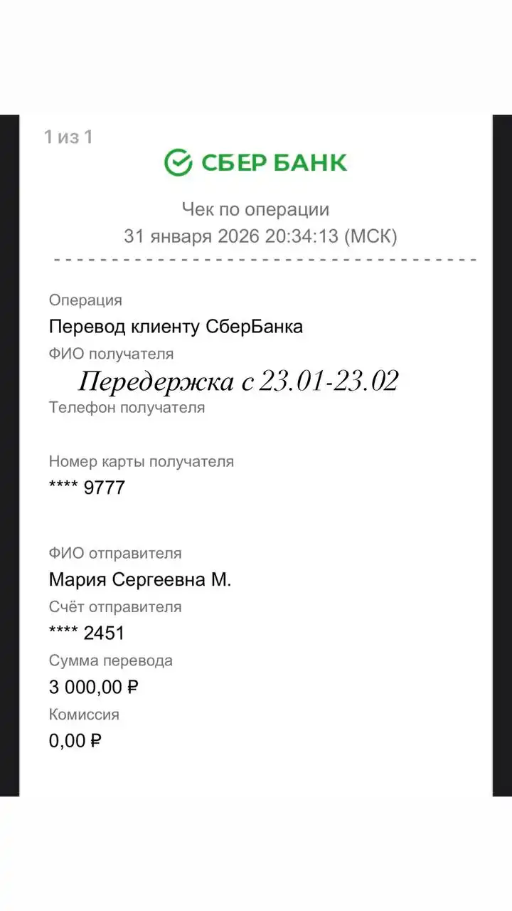 Сбор на передержку и корм для кота Майкла - Животные в Саратов