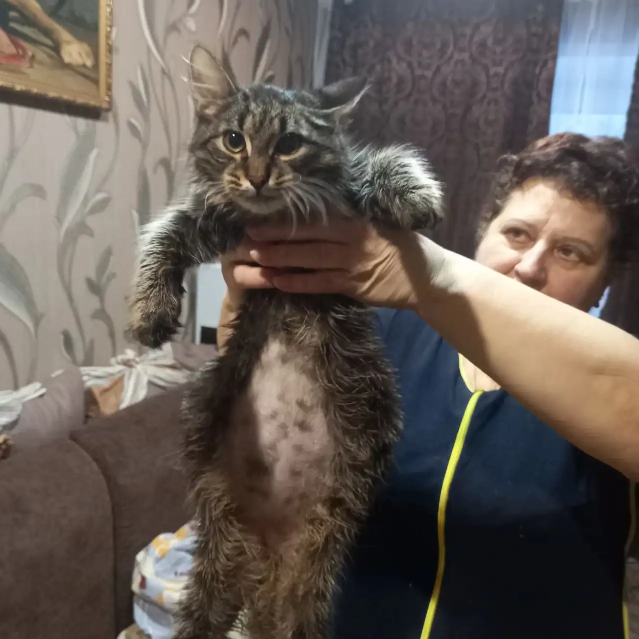 Сбор средств на лечение котенка Василия в Саратове - Кошки (Животные) в Саратов