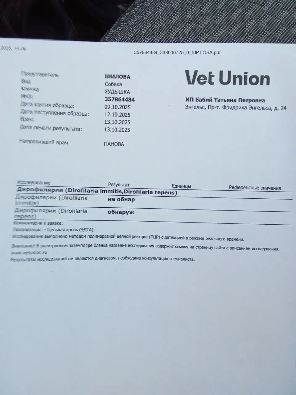 Сбор средств на лечение кошки Рады - Кошки (Животные) в Саратов