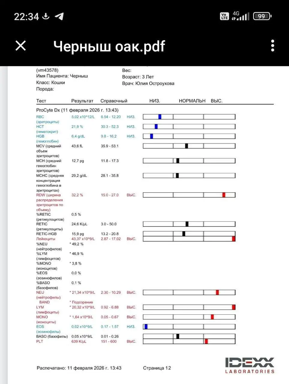 Отчет по сбору средств для котика, покусанного собаками - Животные в Саратов
