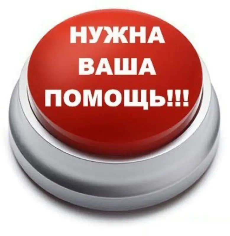 Экстренный сбор на лечение щенка в Саратове - Собаки (Животные) в Саратов