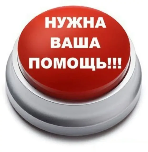 Экстренный сбор на лечение щенка в Саратове - Собаки в Саратов