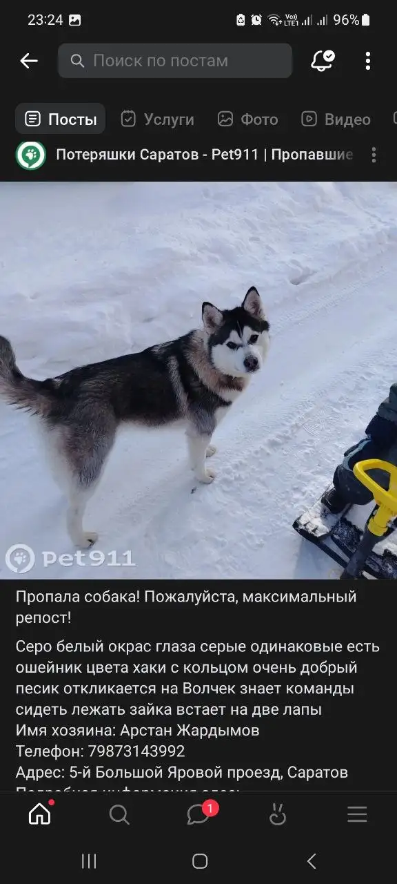 Потерянные животные в Саратове - Поиск животных (Животные) в Саратов