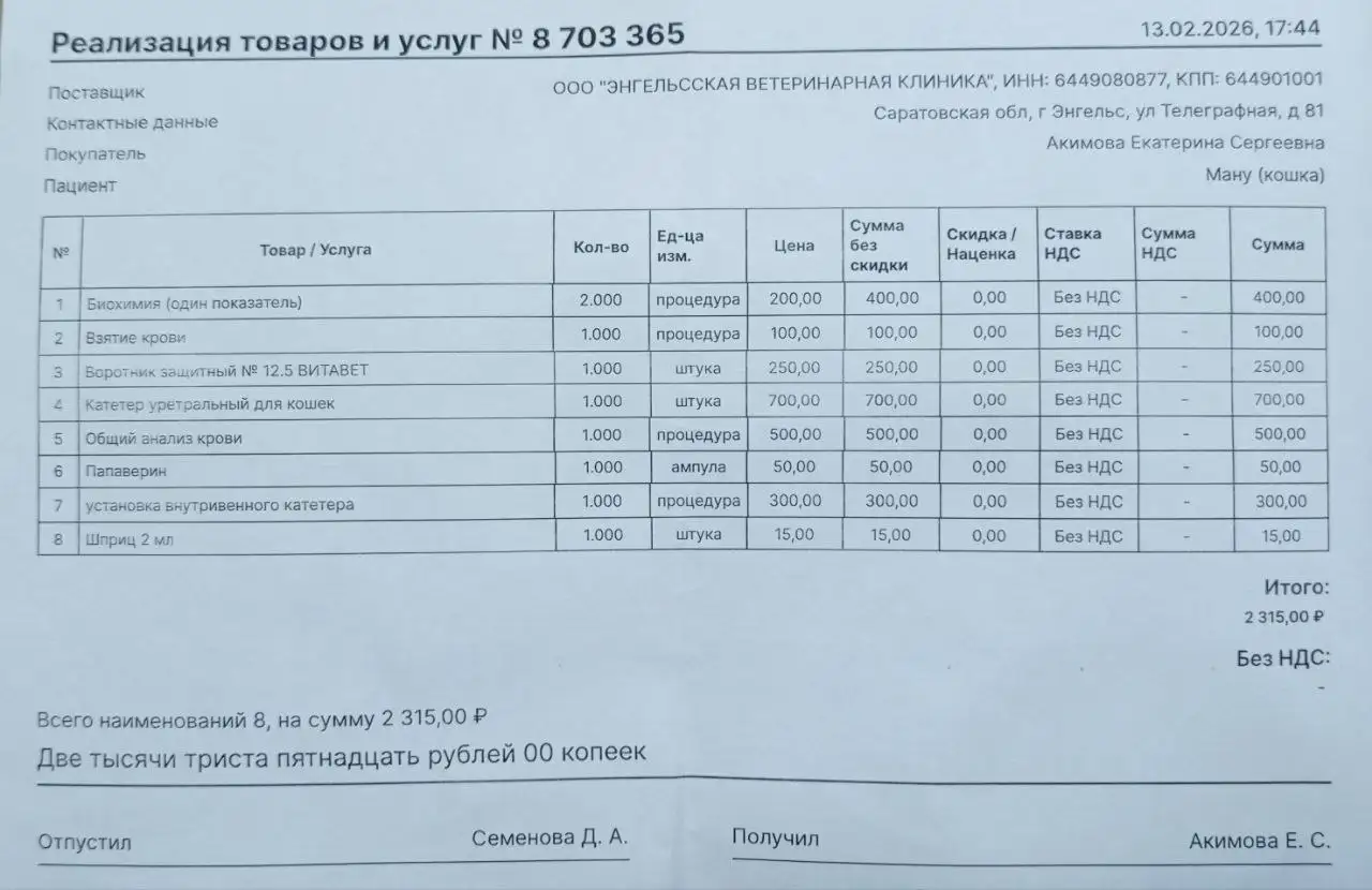 Сбор средств на лечение кота с неврологом - Лечение животных (Животные) в Саратов
