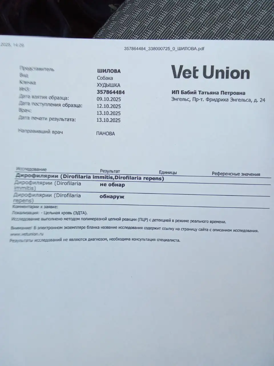 Сбор средств на лечение собаки Рады - Собаки (Животные) в Саратов