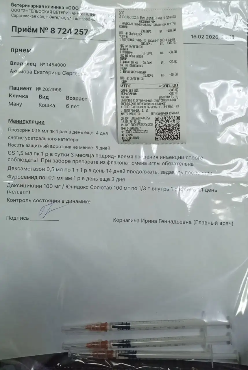 Срочный сбор на лечение кота с невролог. фип и лейкозом - Животные в Саратов