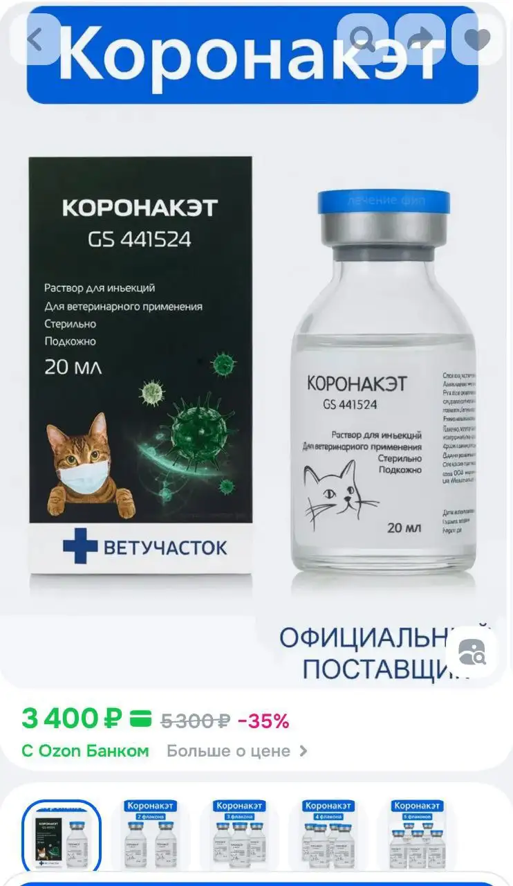 Срочный сбор на лечение кота с невролог. фип и лейкозом - Животные в Саратов